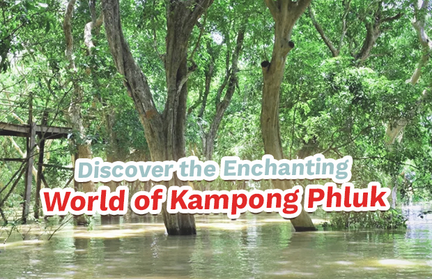 Discover the Enchanting World of Kampong Phluk: A Journey into Cambodia's Floating Village and Nature's Embrace Nestled on the mighty Tonle Sap Lake, just a short journey from the ancient wonders of Angkor Wat, lies Kampong Phluk, a captivating floating village that offers a unique glimpse into a way of life intrinsically tied to the rhythm of the water. For anyone seeking an authentic cultural experience blended with breathtaking natural beauty, a visit to Kampong Phluk is an absolute must. Kampong Phluk is approximately 32.3 km from Sokchea Angkor Hotel. More Than Just a Village: A Harmony with Nature Kampong Phluk is not merely a collection of houses; it's a testament to human ingenuity and adaptation. Imagine an entire community built on towering stilts, rising majestically from the water as the lake expands during the wet season, and then resting on exposed ground during the dry months. This remarkable architecture is a direct response to the dramatic seasonal fluctuations of the Tonle Sap, Southeast Asia's largest freshwater lake and a vital ecological heartland. The village's pulse beats in harmony with its surroundings. The primary livelihood here is fishing, a tradition passed down through generations. Visitors can witness the daily routines of the villagers as they expertly navigate their boats, cast their nets, and bring in the day's catch. It's a vibrant, living ecosystem where every aspect of life is intertwined with the water. The Lifeblood of Kampong Phluk: The Flooded Forests One of the most enchanting and ecologically significant features of Kampong Phluk is its surrounding flooded mangrove forests. These unique forests are not just picturesque; they are the lungs and nurseries of the Tonle Sap. During the wet season, the forests become submerged, creating an ethereal landscape where trees grow directly out of the water. A serene boat ride through these submerged forests is an unforgettable experience. The quiet calm, broken only by the gentle dip of paddles, allows you to appreciate the sheer biodiversity these mangroves support. They serve as crucial breeding grounds and shelters for countless species of fish, birds, and other wildlife, playing a pivotal role in maintaining the lake's rich ecosystem. Many tours offer the chance to explore these areas in smaller, traditional rowboats, allowing for a more intimate connection with nature. Community-Based Eco-Tourism: A Sustainable Future What makes Kampong Phluk truly special, beyond its visual appeal, is its commitment to community-based eco-tourism. Initiatives like the Kampong Phluk Community Based Eco-Tourism (CBET) project are at the forefront of ensuring that tourism directly benefits the local people while simultaneously protecting the environment. When you visit Kampong Phluk, your presence supports the community's efforts to: * Protect the delicate ecosystem: Funds from tourism contribute to conservation efforts, helping to preserve the flooded forests and the lake's abundant fish populations. * Promote sustainable livelihoods: By providing alternative income streams, tourism helps reduce over-reliance on fishing, fostering a more sustainable economy for the villagers. * Educate and raise awareness: Visitors learn about the unique challenges and beauty of life on the Tonle Sap, becoming advocates for its preservation. This approach means your visit is not just a sightseeing trip; it's an investment in the future of Kampong Phluk and the precious Tonle Sap ecosystem. Organizations, often in partnership with the local community, also work on crucial issues like waste management and environmental education, ensuring a cleaner and healthier environment for generations to come. Planning Your Visit Kampong Phluk is easily accessible from Siem Reap, with numerous tour operators offering half-day or full-day excursions. Most tours include transportation to the village, a boat ride through the stilted houses, and often an opportunity to explore the magical flooded forests.