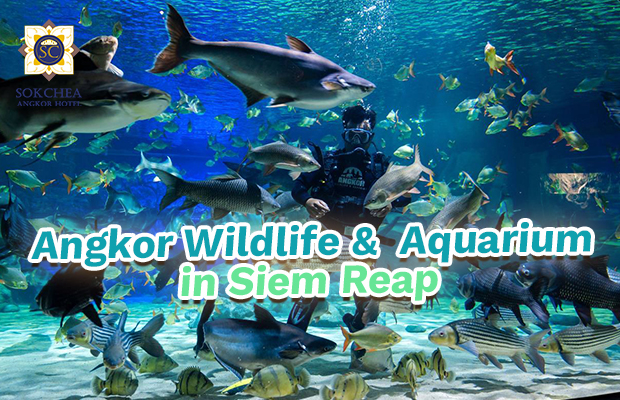 Angkor Wildlife & Aquarium
